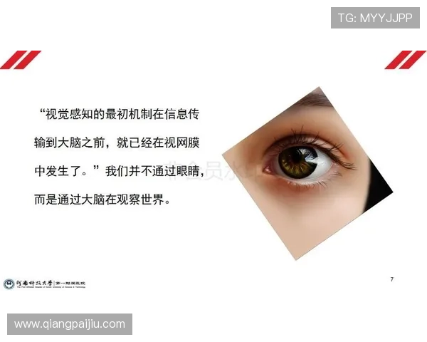 百家大路技巧提升你的游戏观察力和决策能力的实用方法